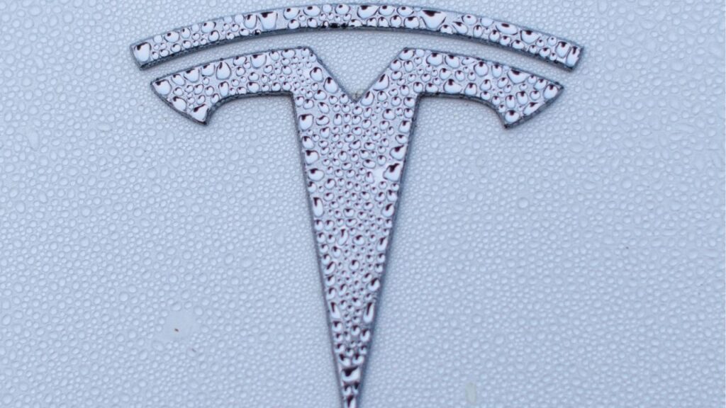 A Tesla logo is shown on a Model Y vehicle in Encinitas, California, U.S.,October 20, 2023. (REUTERS/Mike Blake)