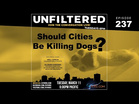 UNFILTERED #237 | Should Cities Be Killing Dogs?